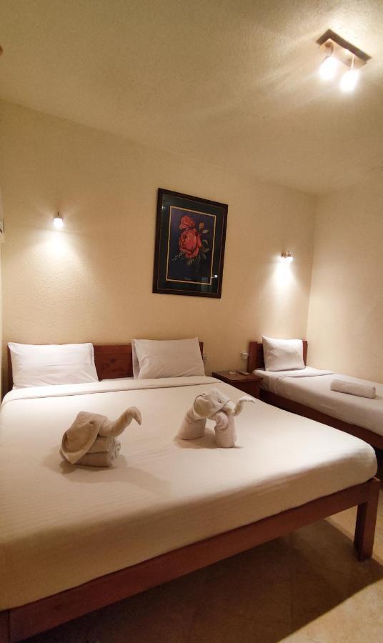 Golden Europe Hotel ダハブ エクステリア 写真